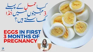 Eggs In First 3 Months Of Pregnancy کیا حمل کے پہلے تین مہینوں میں انڈا کھا سکتے ہیں