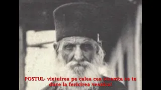 Văd cu tristețe adâncă această nouă învățătură aplicată - Sfântul Daniil Katunakiotul