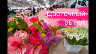 🌼🌼🌼ЦВЕТОЧНЫЙ РЫНОК В КРАСНОДАРЕ ВЕСНОЙ 🌸ОБНОВЛЕНИЕ АССОРТИМЕНТА И МОРЕ ЦВЕТОВ👍