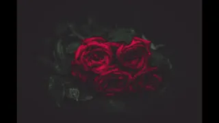 SAINt JHN - Roses & TUJAMO - Who