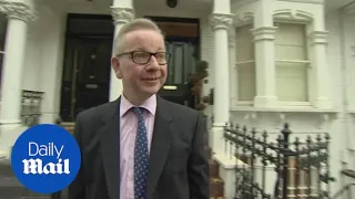 Michael Gove defends Theresa May's Brexit efforts amid mutiny reports