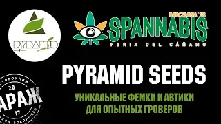 Интервью с Рикардо из Pyramid Seeds. Гараж на Spannabis Barcelona 2018