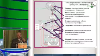 Кузьменко А В - Лечение преждевременной эякуляции у мужчин