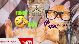 Funny Cats 😹 - Don't try to stop laughing 🤣 - Funniest Cats Ever (from TikTok CAT)