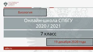 Онлайн-школа СПбГУ 2020/2021. 7 класс. Биология. 19 декабря 2020