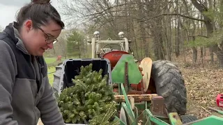 Planting Christmas Trees Like Pros? Not So Fast! Our Wild Ride with a Mechanical Tree Planter!