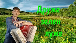 Друже зелен луже