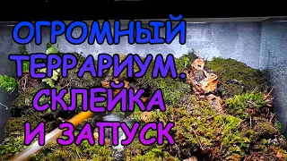 ОГРОМНЫЙ ТЕРРАРИУМ СВОИМИ РУКАМИ. СКЛЕЙКА И ЗАПУСК #АКВАМЕН #СВОИМИ_РУКАМИ