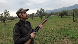 Armsan A612 upland gold yarı otomatik av tüfeği incelemesi ( Armsan A612 semioto shotgun riew )