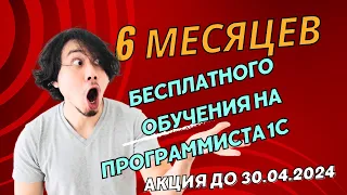 6 месяцев бесплатного обучения на Программиста 1С #программист1с  #1спредприятие #1с #1свнедрение