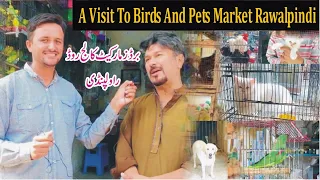 Birds and Pets Market Rawalpindi || Bird Market College Road Raja Bazar Rawalpindi