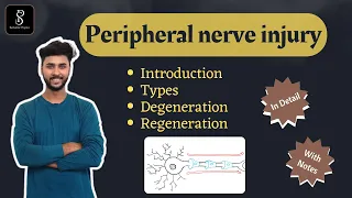Peripheral Nerve Injury - Types | Degeneration & Regeneration | Wallerian Degeneration