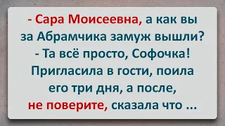 ✡️ Сара Моисеевна и Её Невероятная Истроия! Анекдоты про Евреев! Выпуск #99