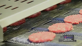 Hiwell--beef burger production line