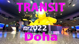 【Airport Tour】How to Transit at Qatar  Doha Hamad International Airport