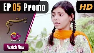 Pakistani Drama | Yateem - Episode 5 Promo |  Aplus | Sana Fakhar, Noman Masood, Maira Khan| C2V1