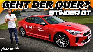 NEUER KIA STINGER GT 2021 AM LIMIT! DRIFTEN + Neuigkeiten | Fahr doch