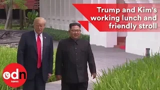 Donald Trump and Kim's working lunch and friendly stroll