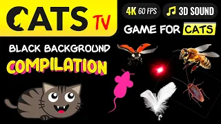 CAT TV -  ULTIMATE Compilation for cats 🙀🐝👀🪳 Game for cats 🔴 4K [60FPS]