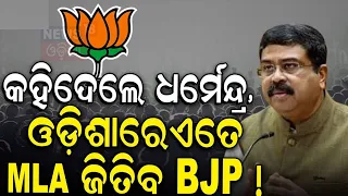 କହିଲେ ଧର୍ମେନ୍ଦ୍ର, ଓଡ଼ିଶାରେ କେତେ MLA ସିଟ୍ ଜିତିବ BJP? Dharmendra Pradhan Interview | Odia News