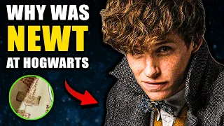 Why Newt Scamander Was on the Marauder's Map (6 Harry Potter Theories)