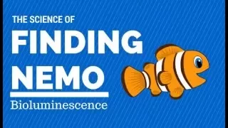 The Science of Finding Nemo