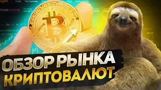 Обзор рынка криптовалют | Курс криптовалют 16.05.2022