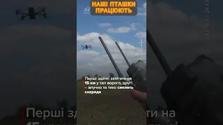 😈ОЦЕ ТАК! Наші "комашки" не дають окупантам жити на запорізькому напрямку #новини #новиниукраїни