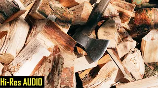 1 Hour | Oddly Satisfying Wood Cutting, Splitting & Chopping in HQ Sound | ASMR | Sleep | Meditate