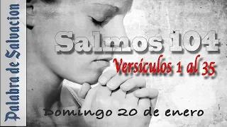 Salmos 104: La Majestuosidad de la Creación y la Grandeza de Dios