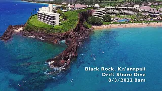 2022 Maui Scuba Diving - Black Rock & Mala Wharf