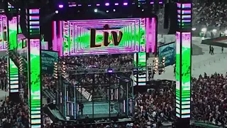 WWE Elimination Chamber 2024