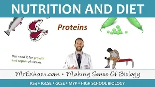 Nutrition and Diet - GCSE Biology (9-1)