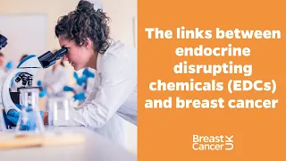 Breast cancer risk and endocrine disrupting chemicals (EDCs): The links explained | Breast Cancer UK