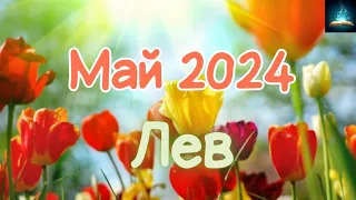 Лев. Май 2024 Таро Прогноз