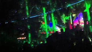 Shambhala 2011 - Fractal Forest