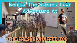 Behind The Scenes Tour At The Fresno Chaffee Zoo