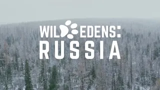 Дикая природа  России   Wild Edens: Russia  National Geographic 4K Ultra HD