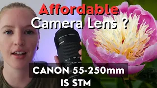 Best Budget Lens - CANON 55-250mm IS STM EF-S Review/Sample Photos | CANON M50