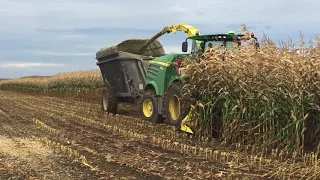 JD 8300 chopping corn silage