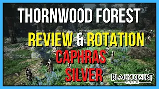 Thornwood Forest Review and Rotation | Black Desert Online