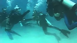 Panicking Diver Gets Violent!