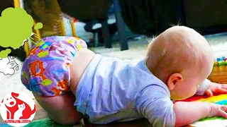 Funniest Baby Make A Super Fart #2! Funny Pets Moments #babyfarts