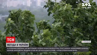 Погода в Україні: синоптики прогнозують дощі із грозами у більшості регіонів