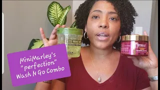 USING FELLOW YOUTUBER'S WASH N GO COMBO | Mielle Organics Twisting Souffle & Eco Style | Ep #3