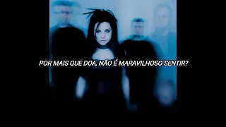 Evanescence - The End Of The Dream | Legendado PT-BR