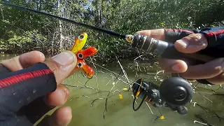 ULTRALIGHT  com MICRO JIG no mangue PESCARIA