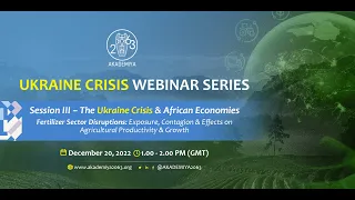 The Ukraine Crisis and African Economies: Session III