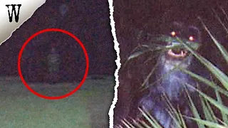6 Haunting FLORIDA GHOSTS & Mysteries