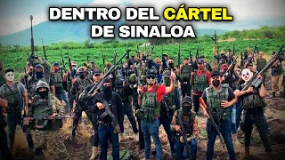 El Cártel de Sinaloa desde adentro: así funciona la organización criminal más PODEROSA del mundo